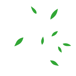 tree image to illiustrate the arboriculture service by purcèdres the experts in cedar hedges