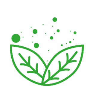 fertilizer on a leaf to illustrate the fertilization service by purcèdres cedar hedge experts