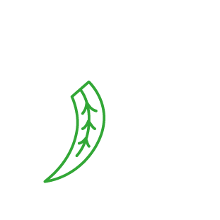 shovel to illustrate the cedar planting service by purcèdres the cedar hedge experts