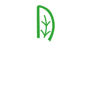 green cedar leaf to illustrate the hedge trimming service by purcèdres cedar hedge experts